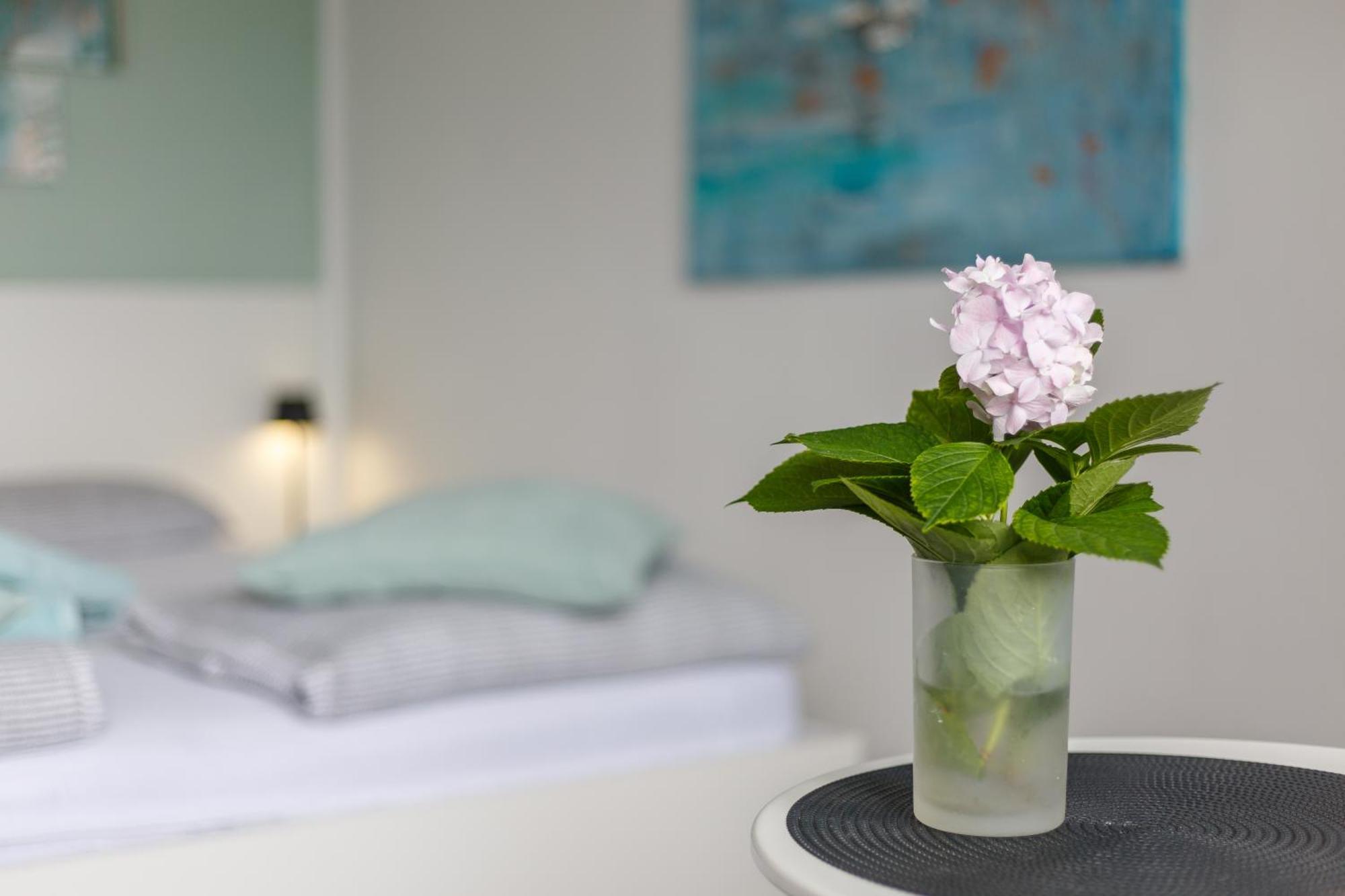 Ana Apartment تْسْغيكفانِتْسا المظهر الخارجي الصورة