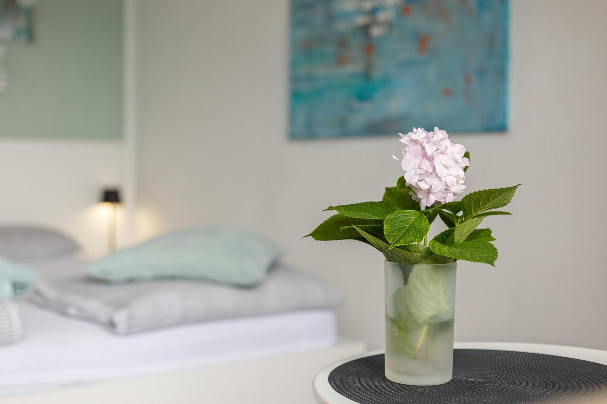 Ana Apartment تْسْغيكفانِتْسا المظهر الخارجي الصورة